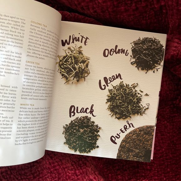 The Big Book of Kombucha Hardcover - Picture 7 of 7